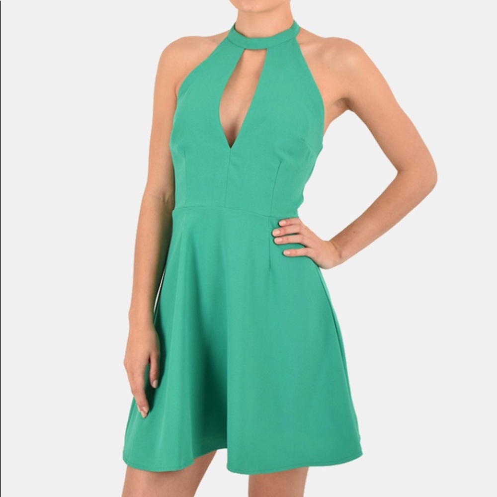 NWT B.B. Dakota Dress